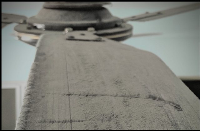 Thick layer of dust accumulated on upper surface of ceiling fan blade